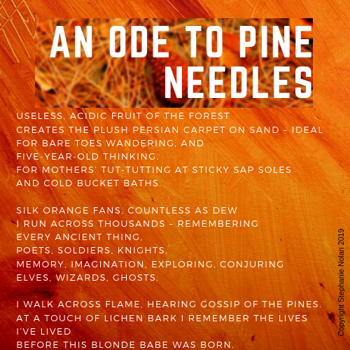 Ode to Pine Needles Poem by Stephanie Nolan